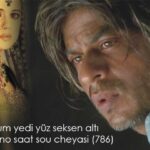 Veer - Zaara 2004